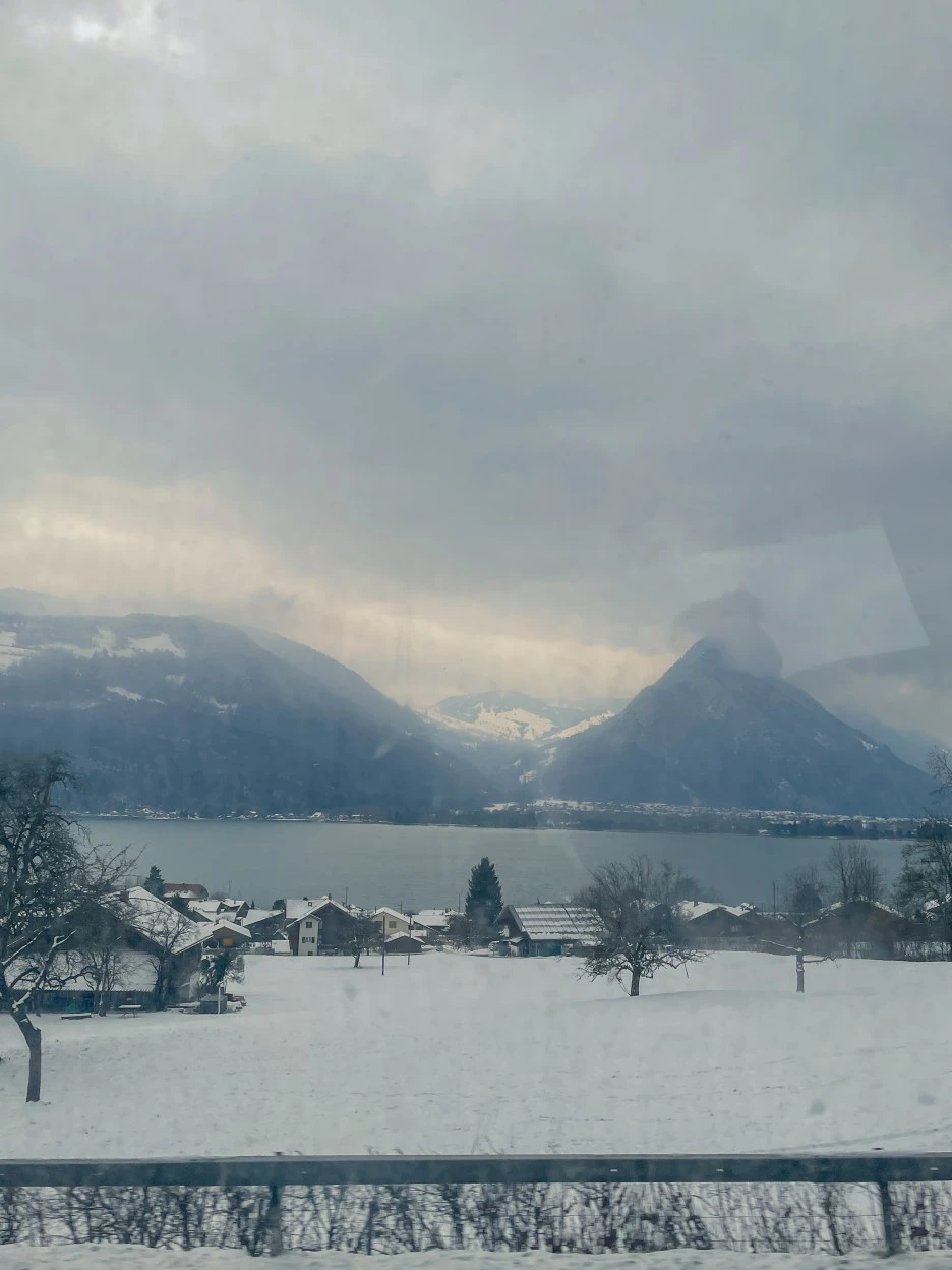 IMG_0618.jpg?type=w1