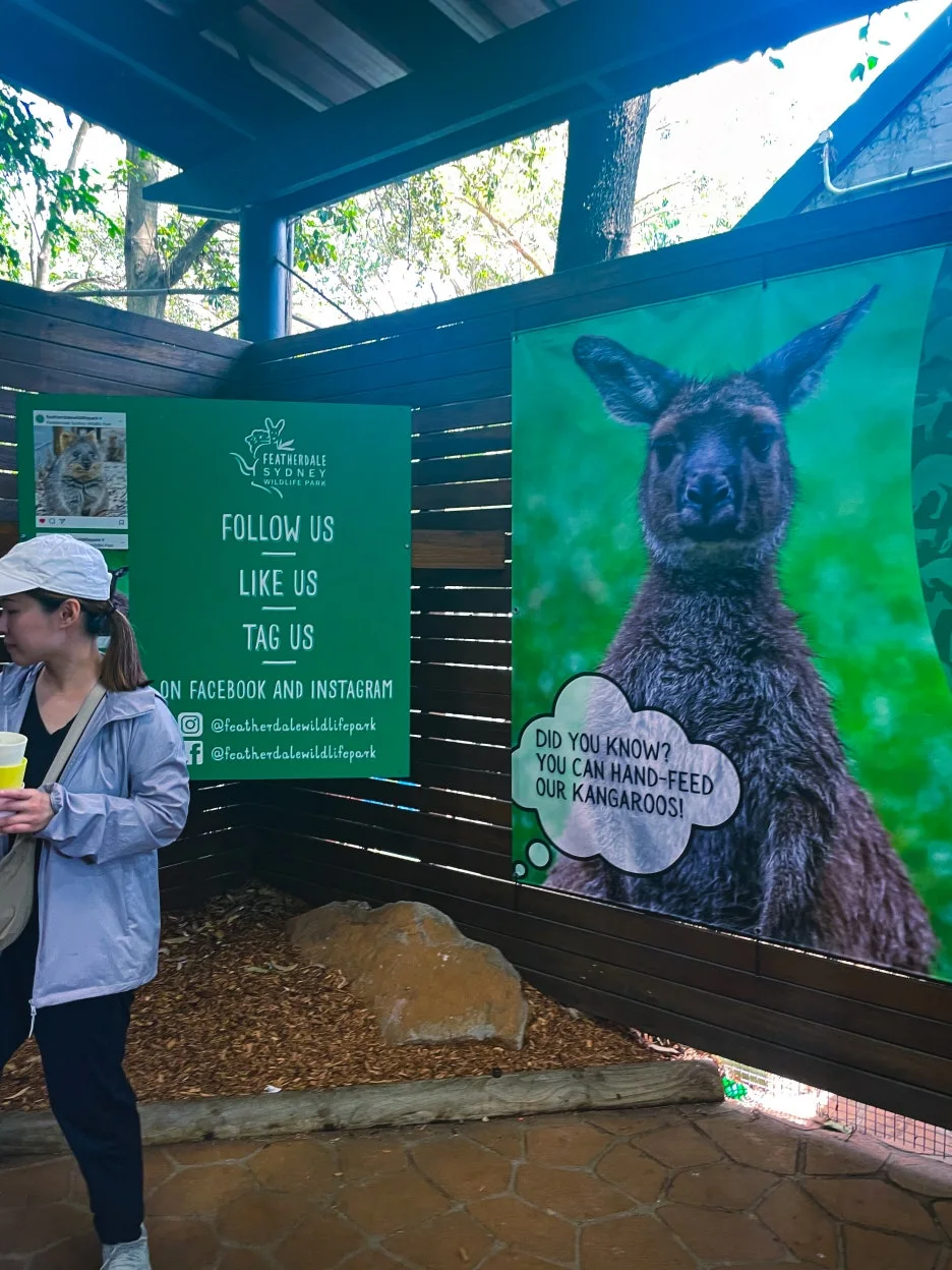 IMG_5746.jpg?type=w1