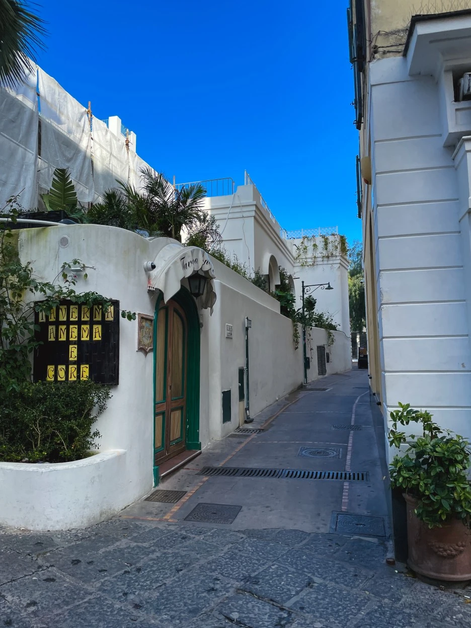 IMG_2457.jpg?type=w1