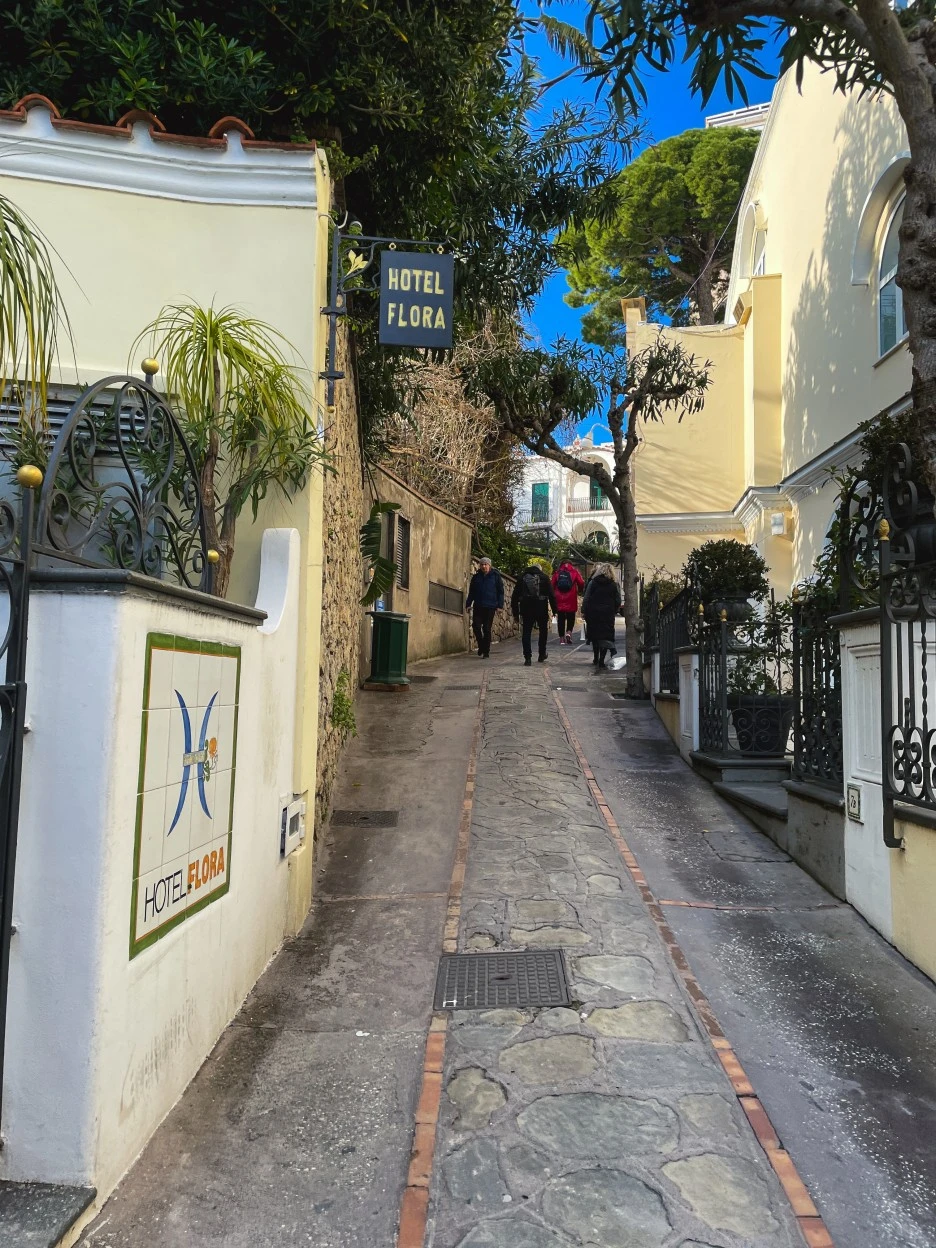 IMG_2442.jpg?type=w1