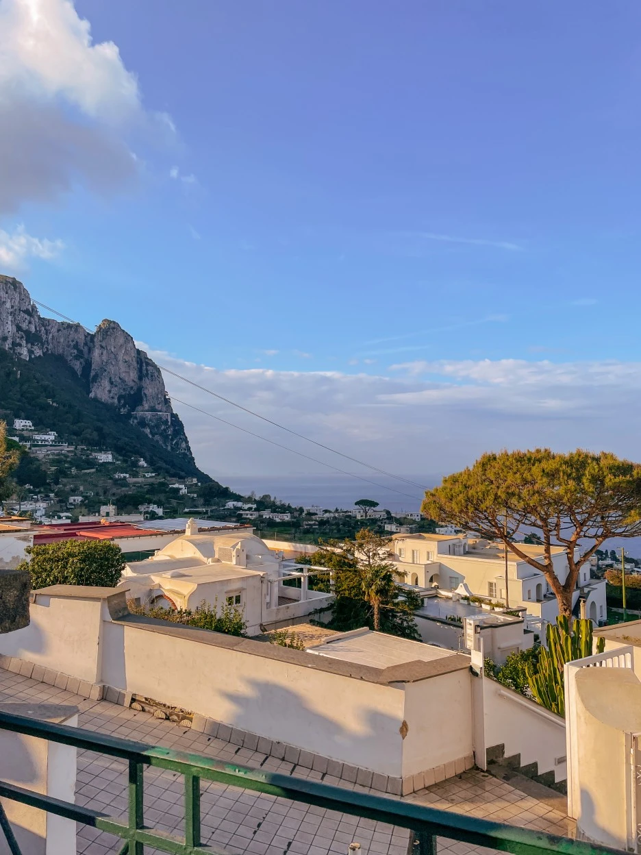 IMG_2481.jpg?type=w1