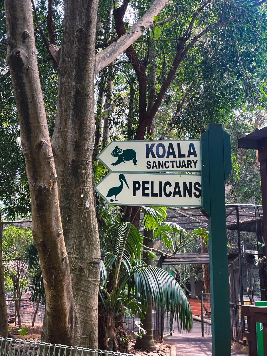 IMG_5767.jpg?type=w1