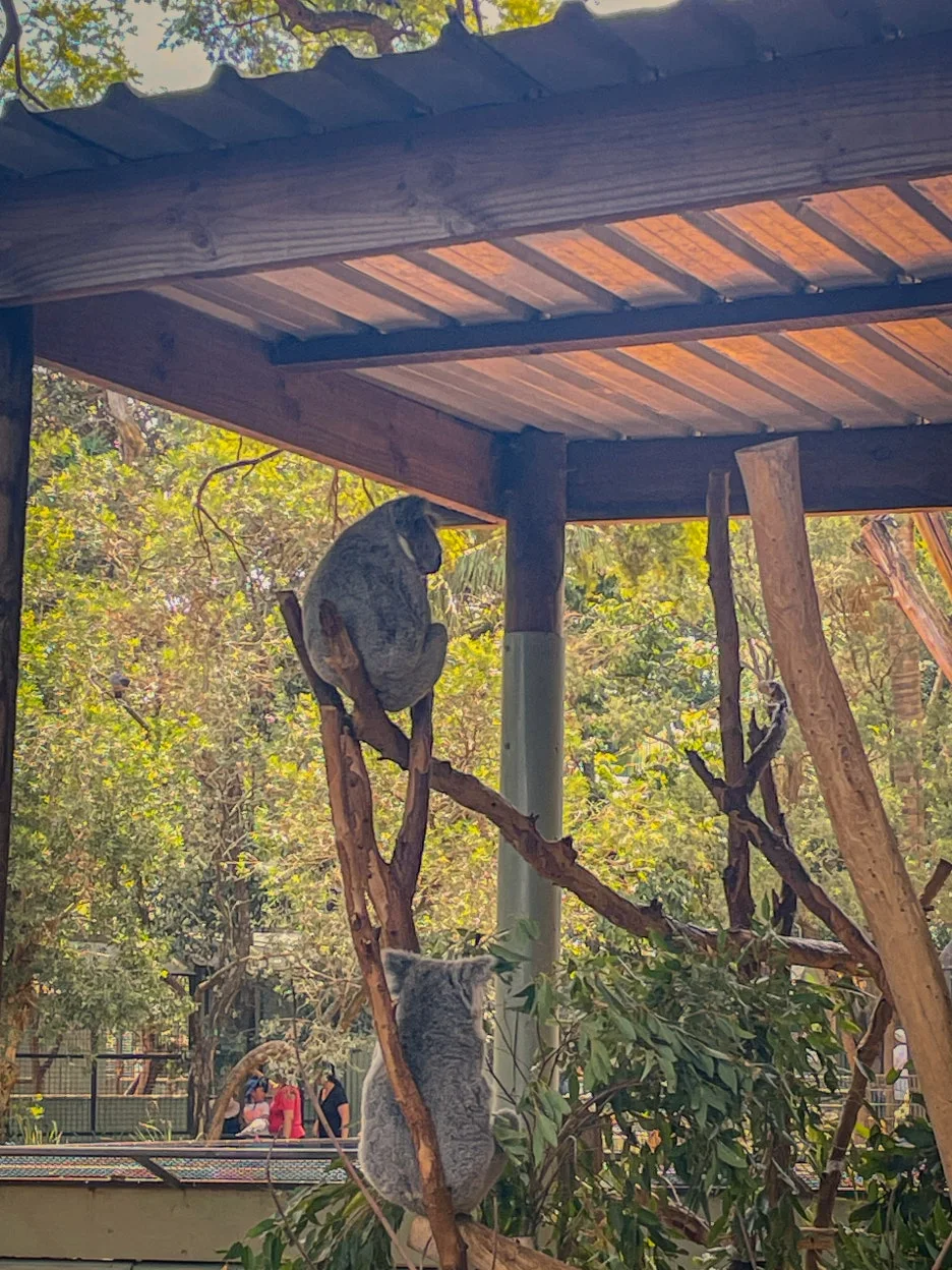 IMG_5802.jpg?type=w1