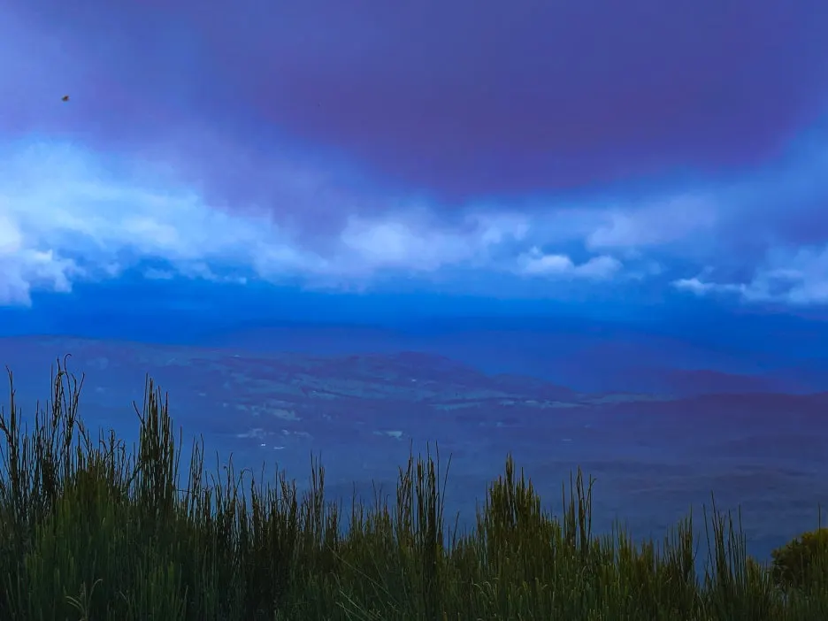 IMG_6004.jpg?type=w1