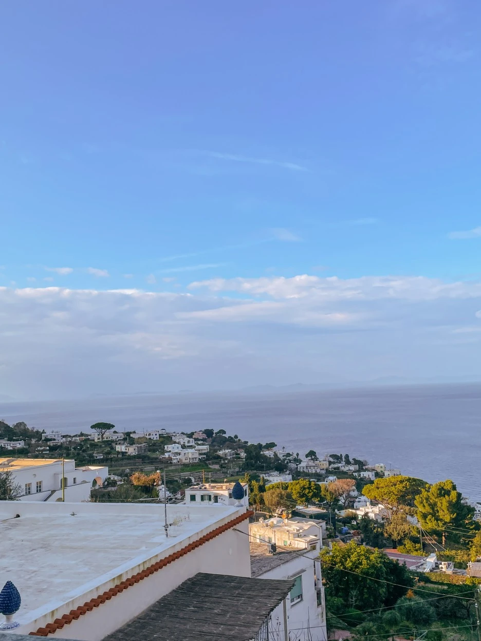 IMG_2477.jpg?type=w1