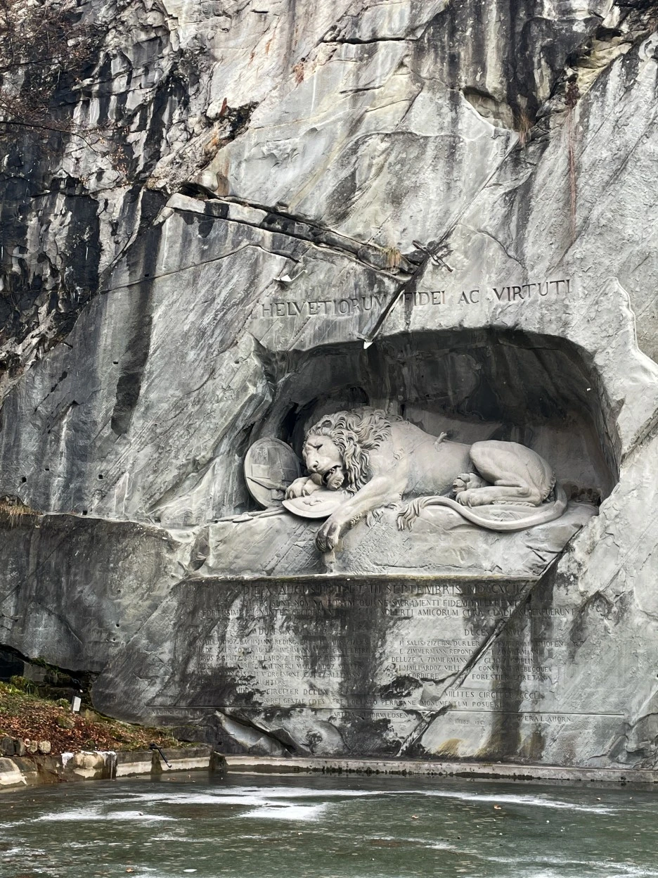 IMG_0988.jpg?type=w1