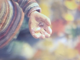 20200731_093846.jpg?type=w1