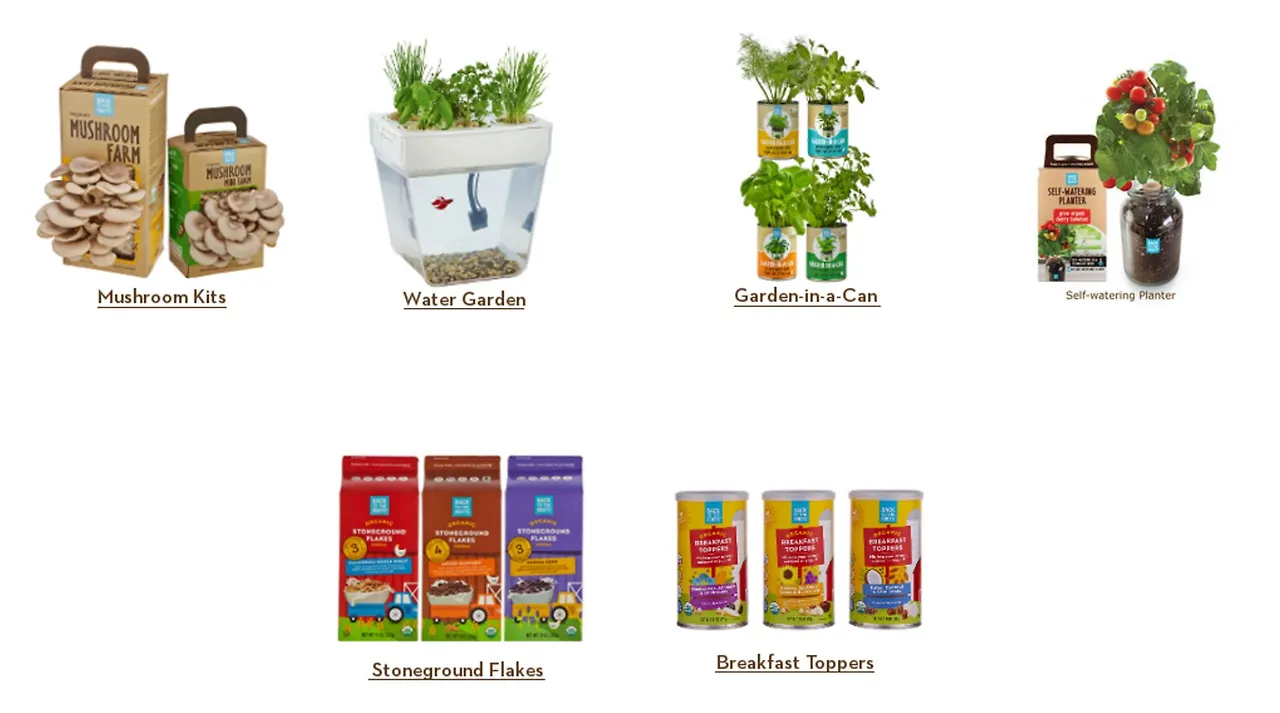 bact to the roots.JPG