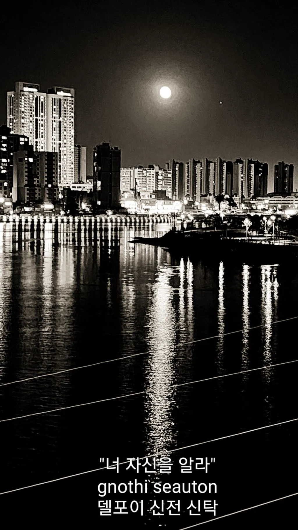 브런치 14장 사진.jfif