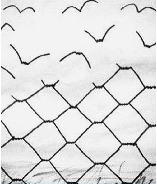 come away with me.PNG