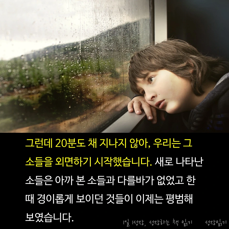 보랏빛소가온다05.PNG