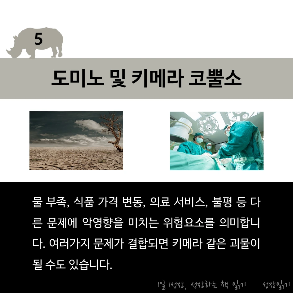 회색코뿔소가온다07.PNG