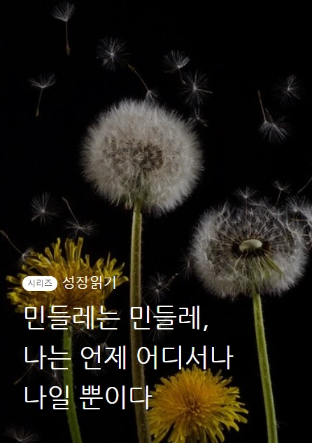 민들레는민들레_01.PNG