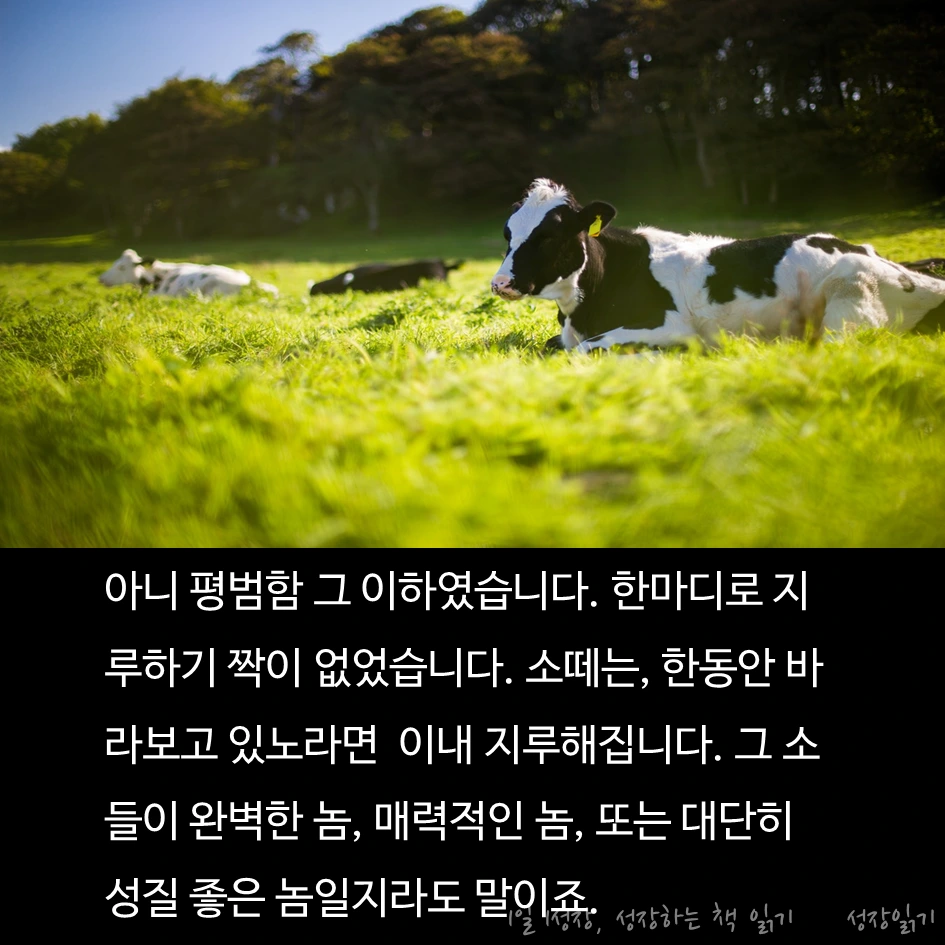 보랏빛소가온다06.PNG