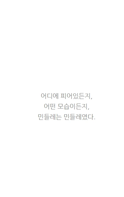 민들레는민들레_12.PNG
