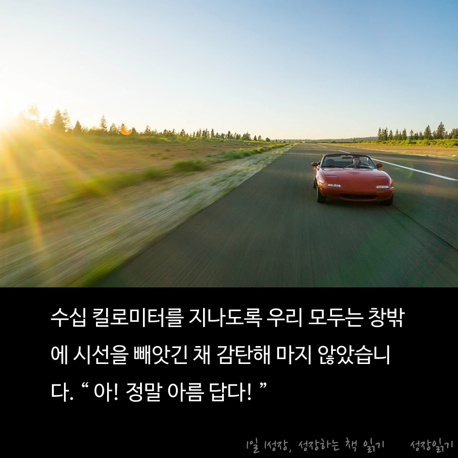 보랏빛소가온다04.PNG