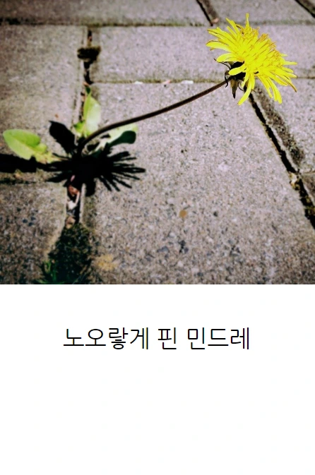 민들레는민들레_07.PNG