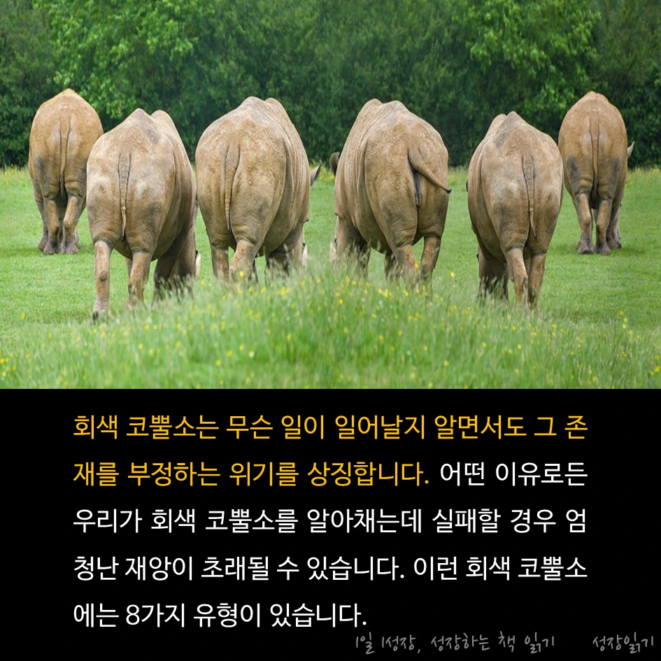 회색코뿔소가온다02.PNG