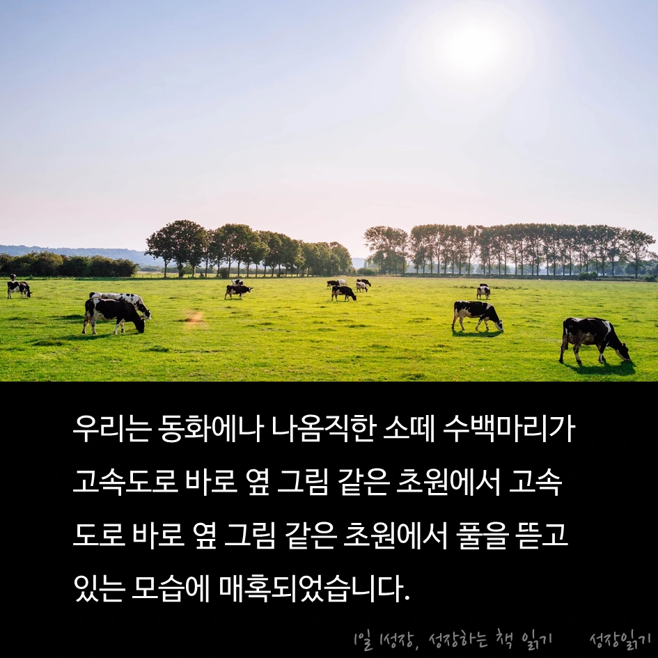 보랏빛소가온다03.PNG