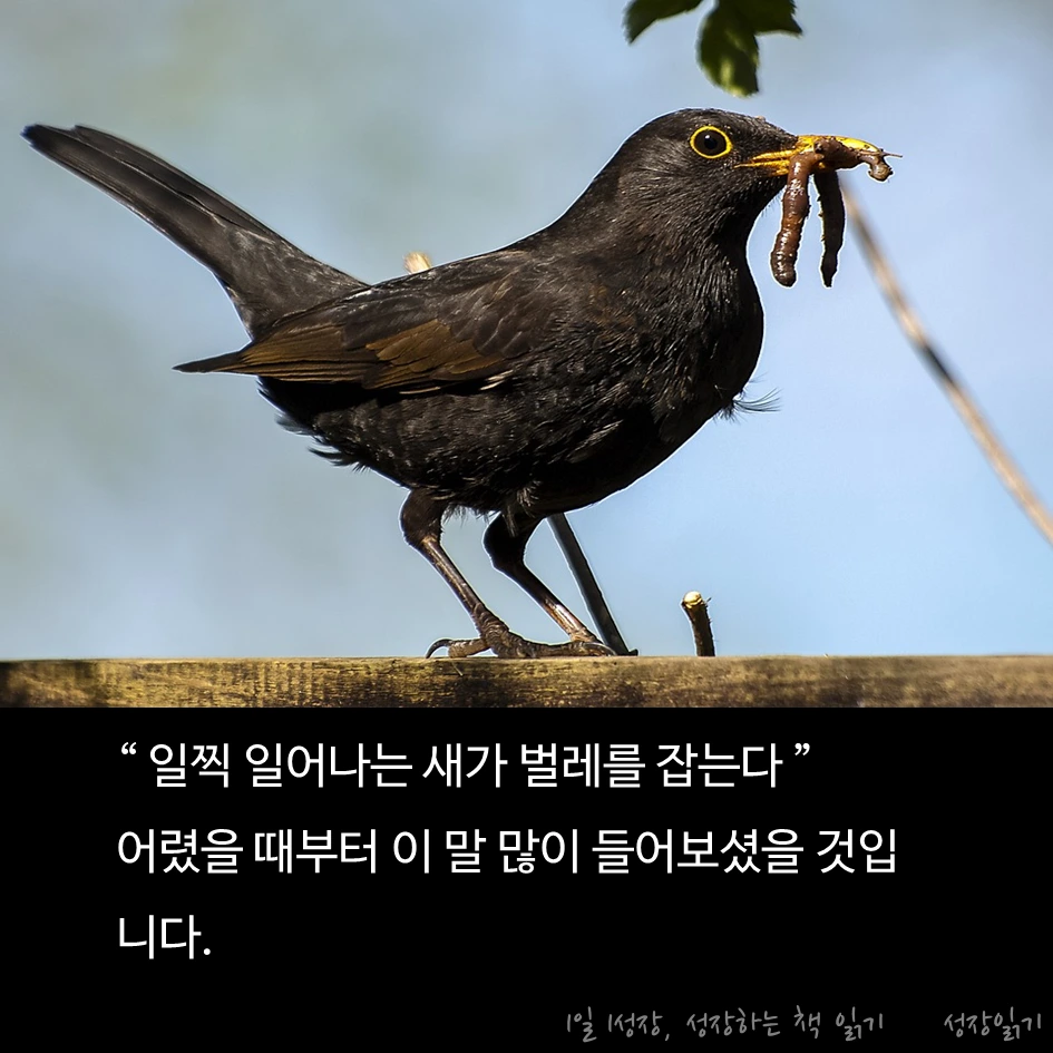 아침형인간02.PNG