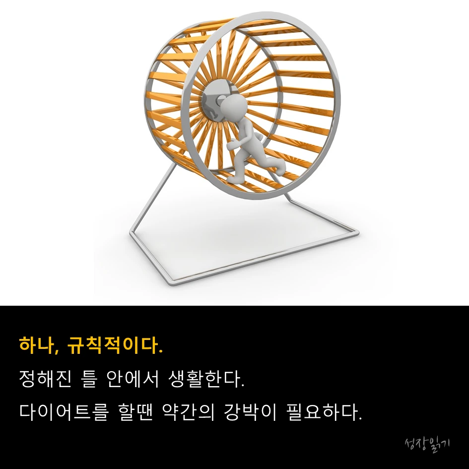 다이어트5.PNG