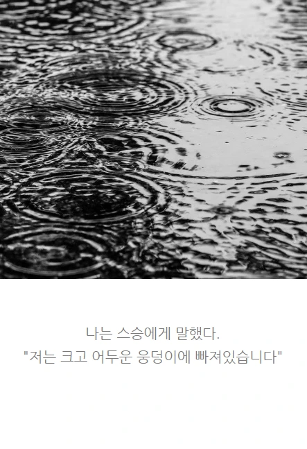 보도섀퍼의돈_03.PNG