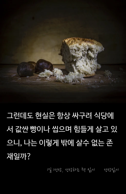성실함의배신05.PNG