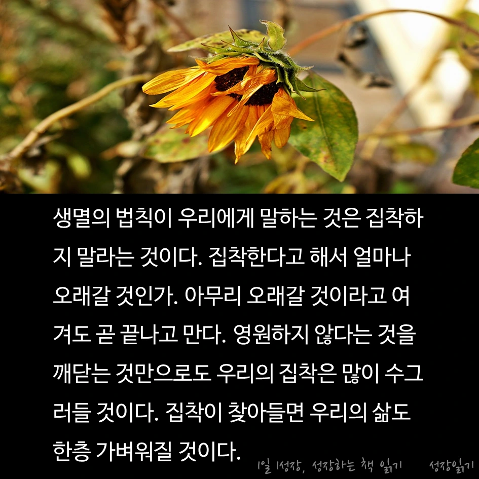 홀가분연습09.PNG
