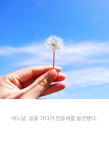 민들레는민들레_05.PNG