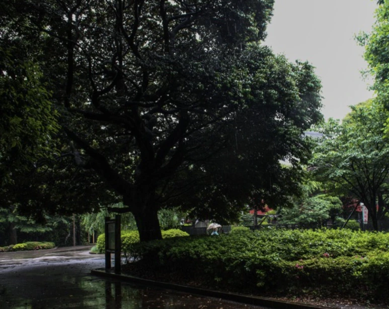 %EC%8A%A4%ED%81%AC%EB%A6%B0%EC%83%B7_2024-06-09_%EC%98%A4%ED%9B%84_1.03.09.png?type=w773