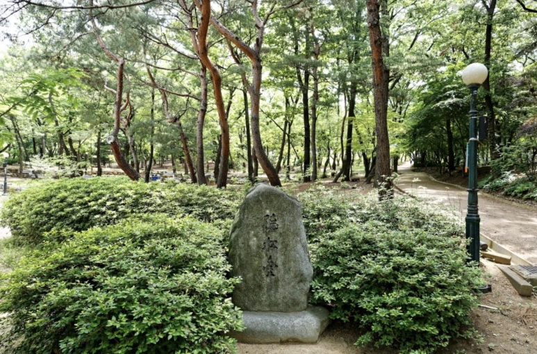 %EC%8A%A4%ED%81%AC%EB%A6%B0%EC%83%B7_2024-06-08_%EC%98%A4%ED%9B%84_8.06.23.png?type=w773