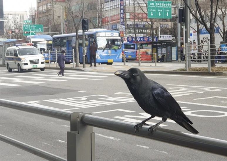 %EC%8A%A4%ED%81%AC%EB%A6%B0%EC%83%B7_2024-06-09_%EC%98%A4%EC%A0%84_11.25.28.png?type=w773