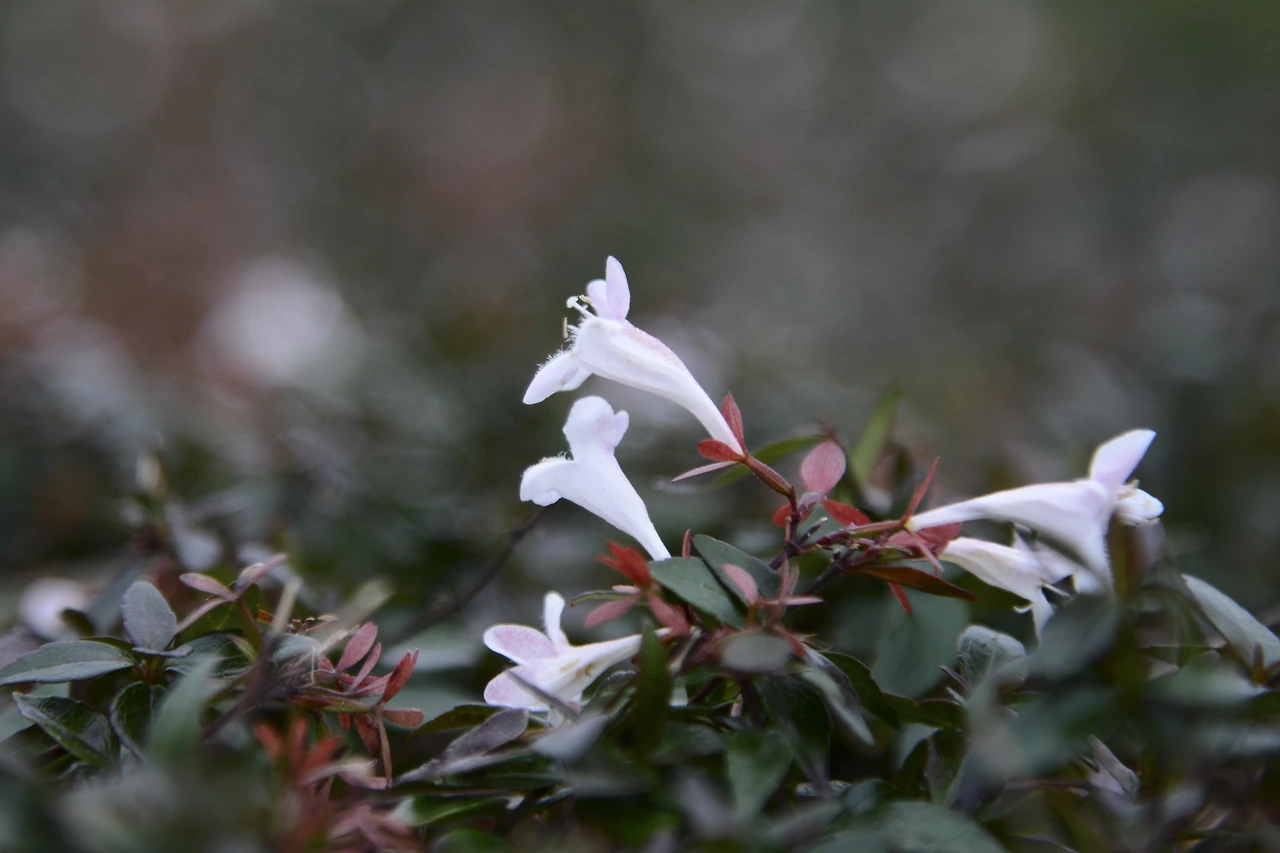 e_이마바리역 (1).JPG