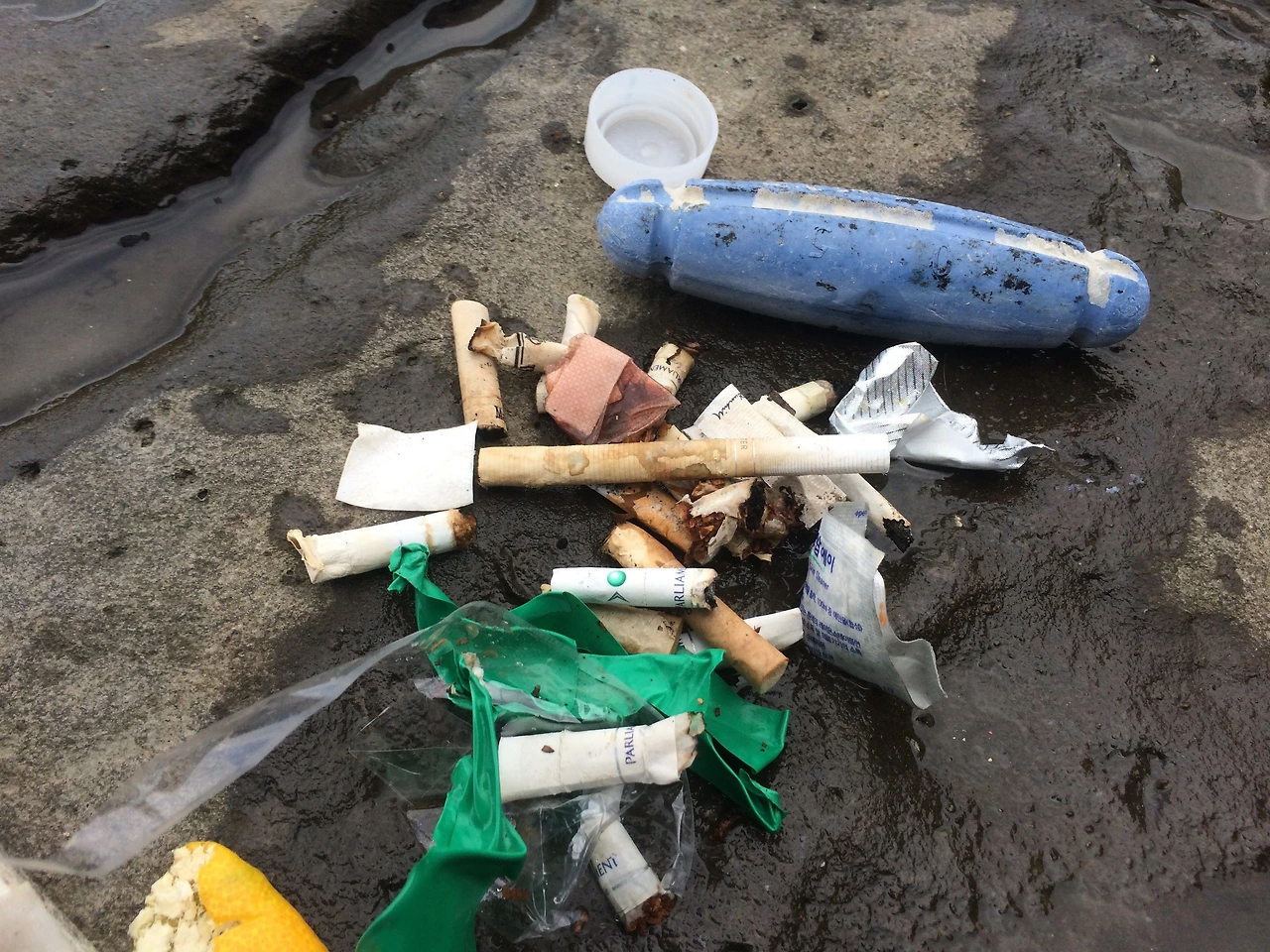 범섬에서 나온 담배꽁초들_사진_조인래.JPG