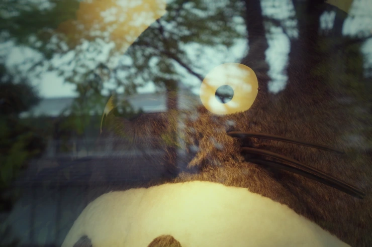 %C5%E4%C5%E4%B7%CE.png?type=w2