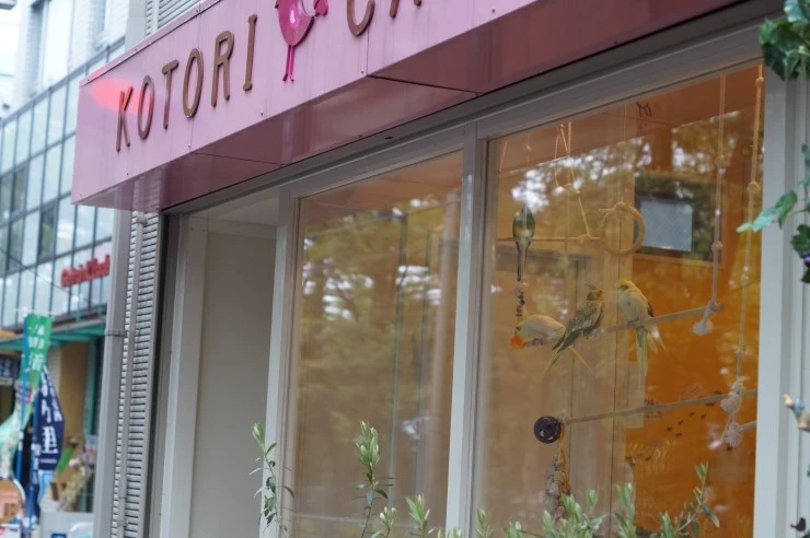 DSC02527.JPG?type=w2