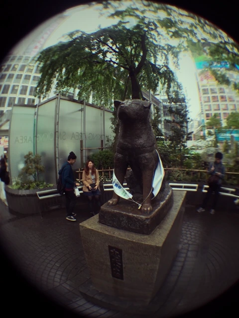 %C7%CF%C4%A1.png?type=w2