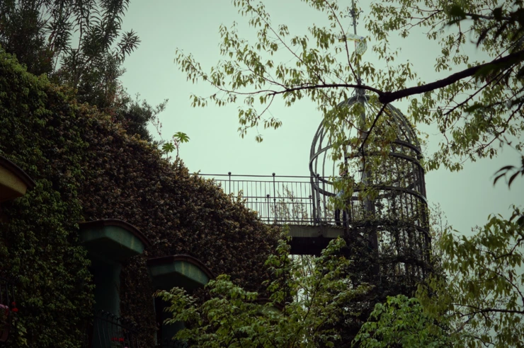 %C1%F6%BA%EA%B8%AE2.png?type=w2