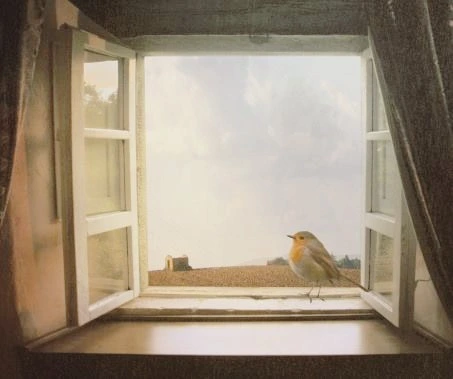 image_5730029761482374880563.jpg?type=w773