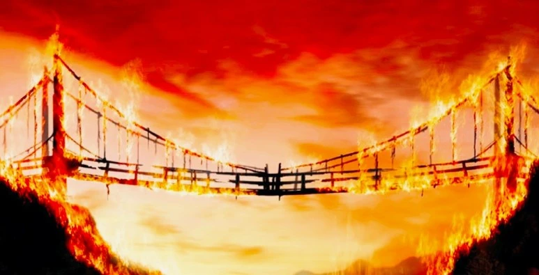 image_3633719911469761741209.jpg?type=w773