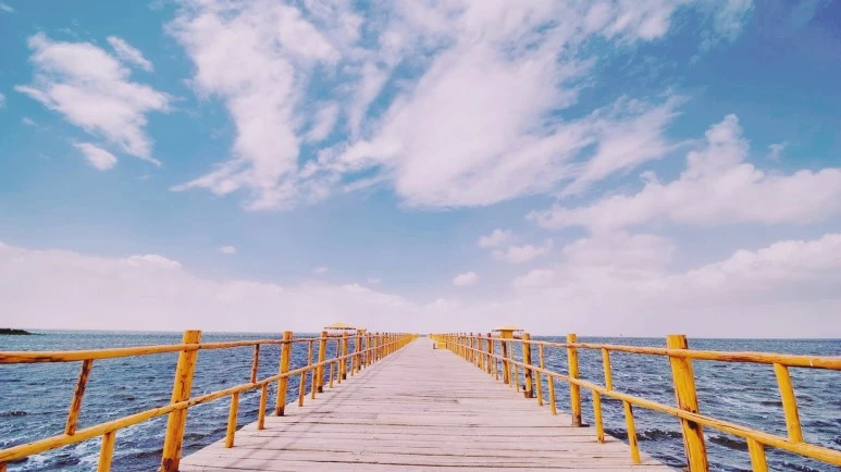 image_7381927371469762803596.jpg?type=w773