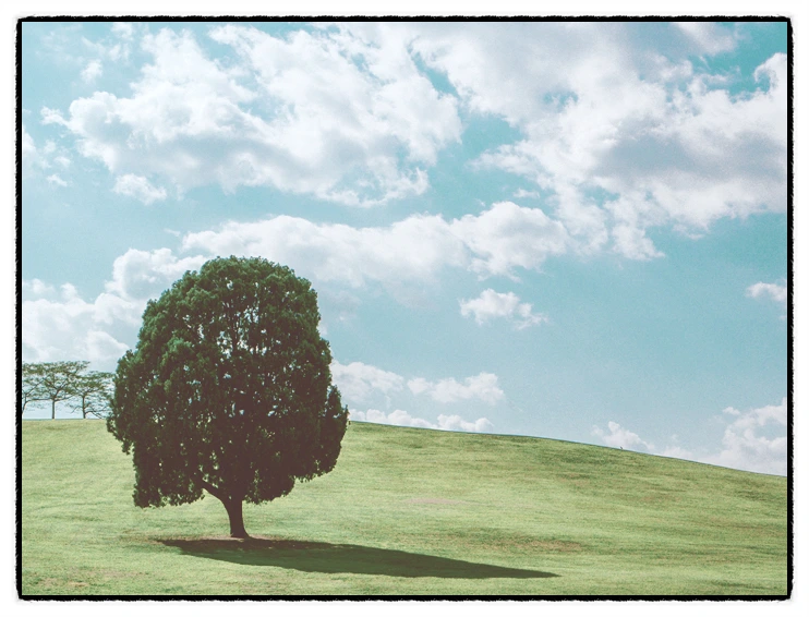 image_4305558651534489429465.jpg?type=w773