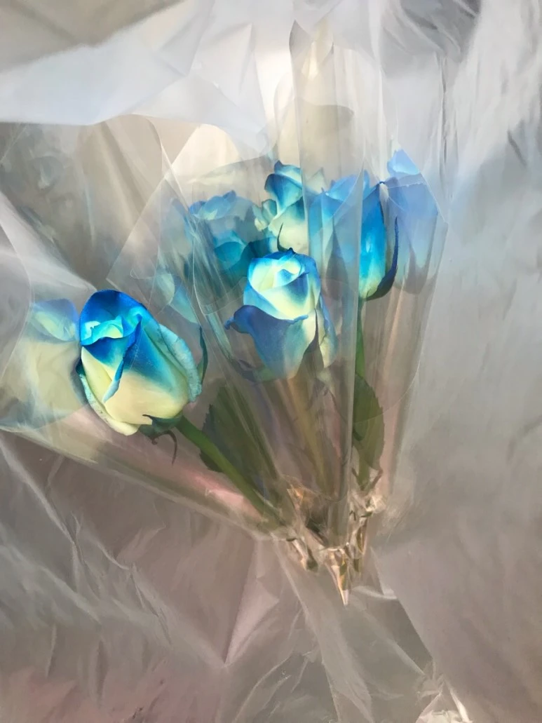 IMG_9718.jpg?type=w773