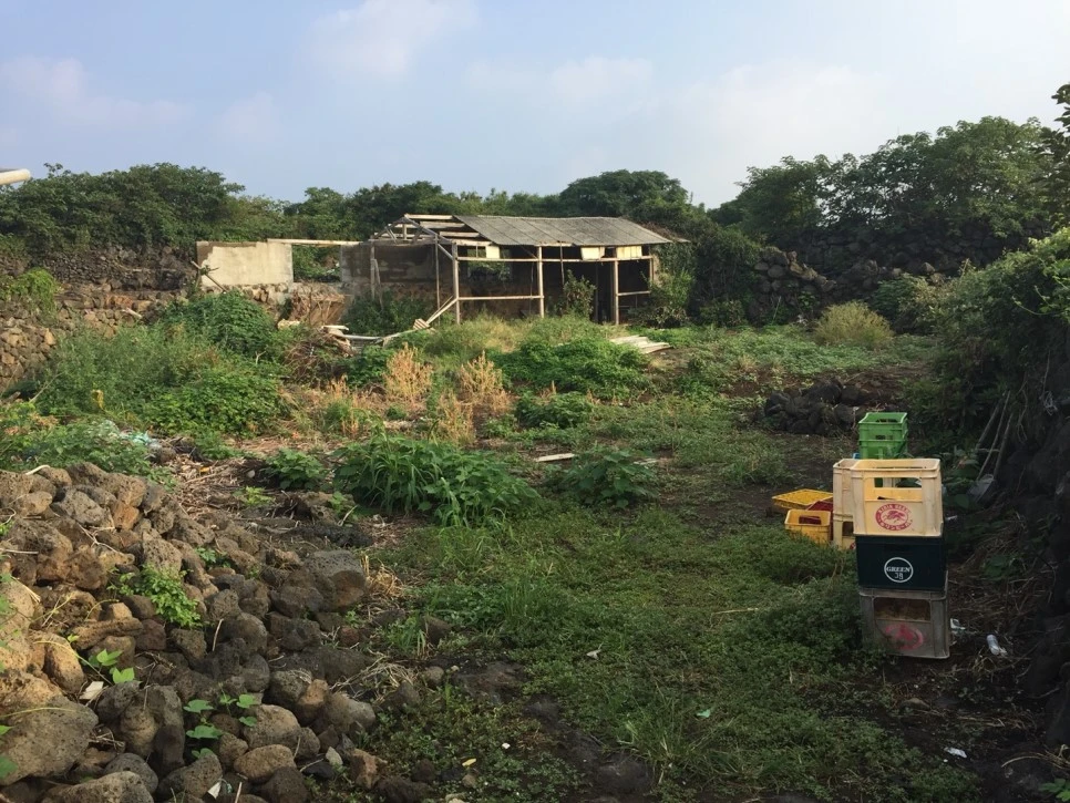 KakaoTalk_20180207_133329339.jpg?type=w966