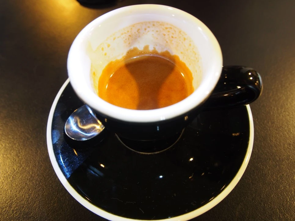 P3110433.jpg?type=w966