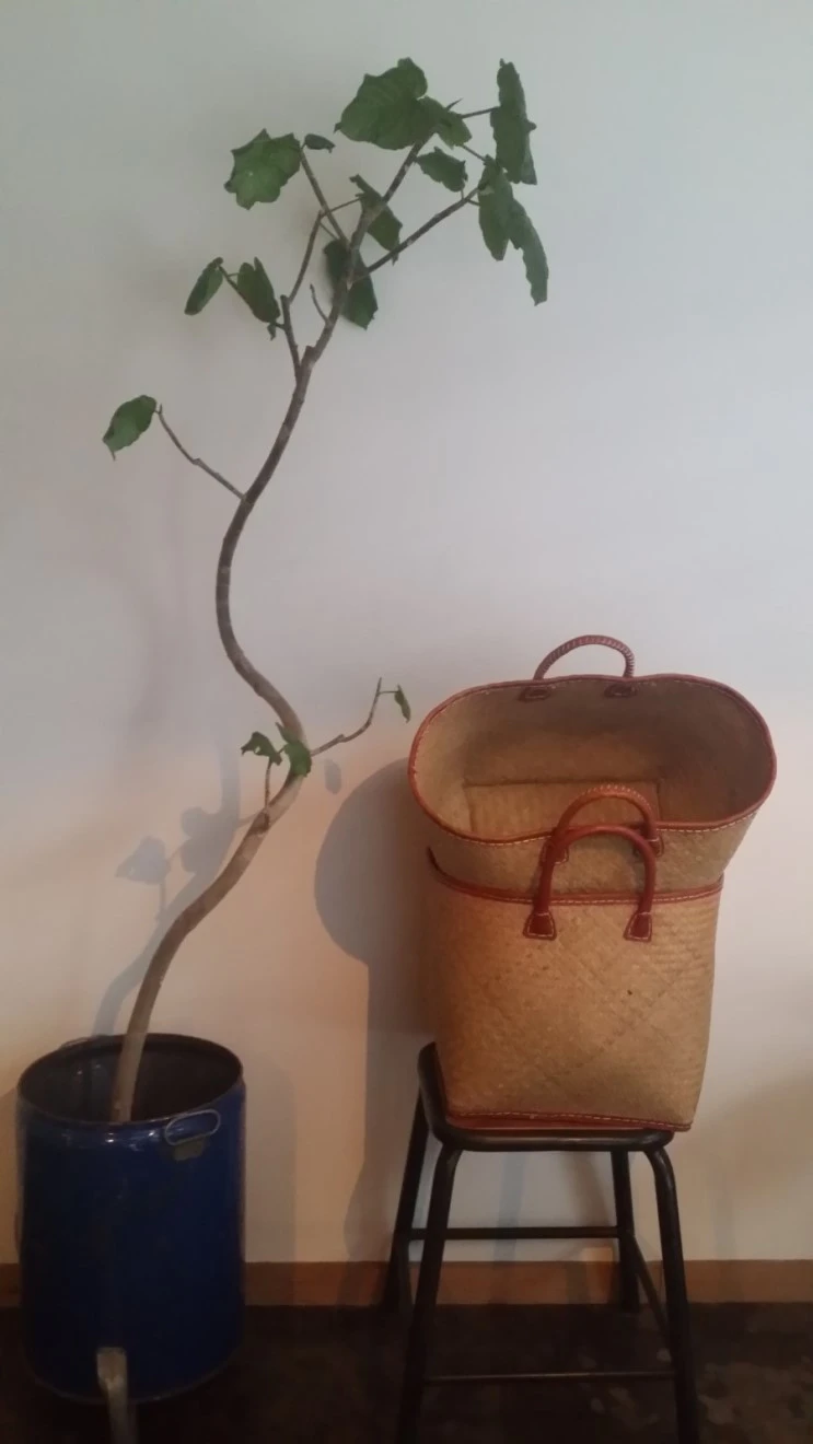 20150916_170223.jpg?type=w2