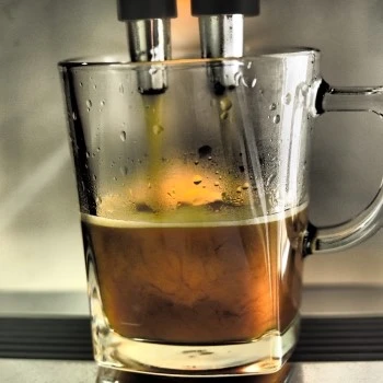 P8130375.JPG?type=w1