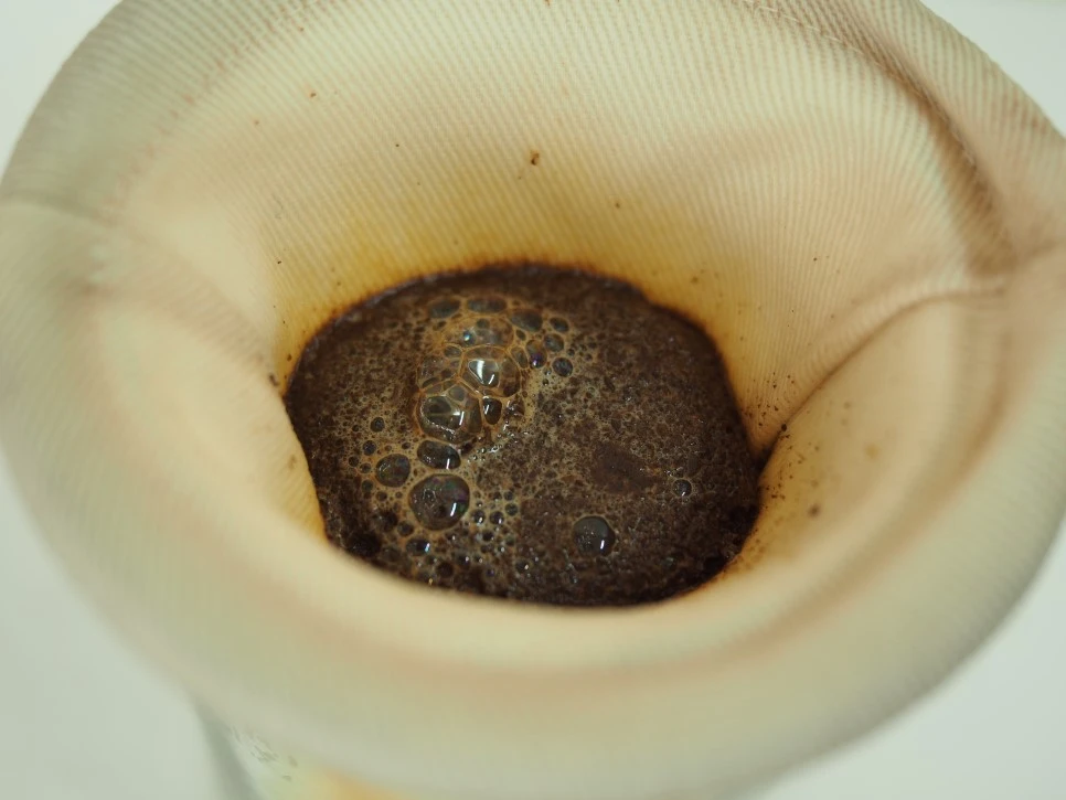 P5170087.JPG?type=w966