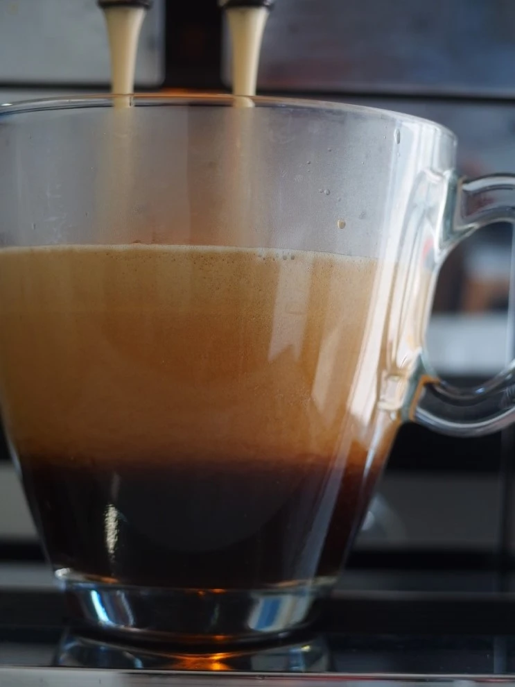 P8076152.jpg?type=w966