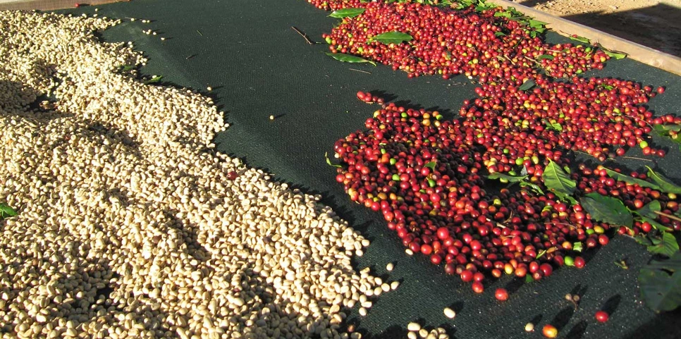 %EC%A0%9C%EB%AA%A9_%EC%97%86%EC%9D%8C.png?type=w966